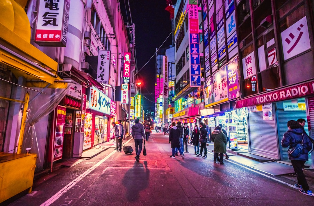 일본 IR 정책 및 규제